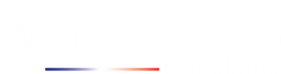 Gallys Immobilier